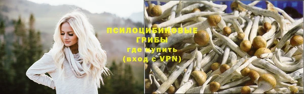 ALPHA-PVP Аркадак