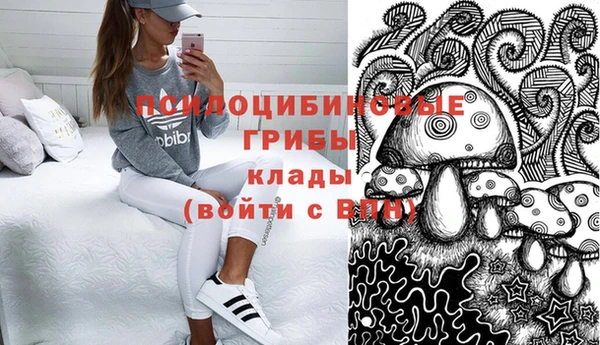 дмт Армянск