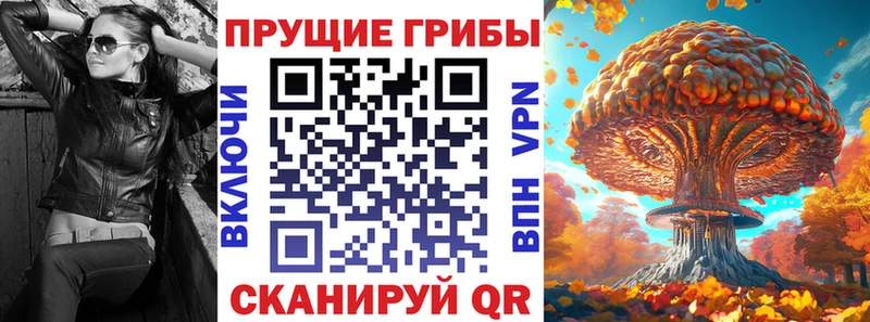 Псилоцибиновые грибы прущие грибы  blacksprut как зайти  Боготол 